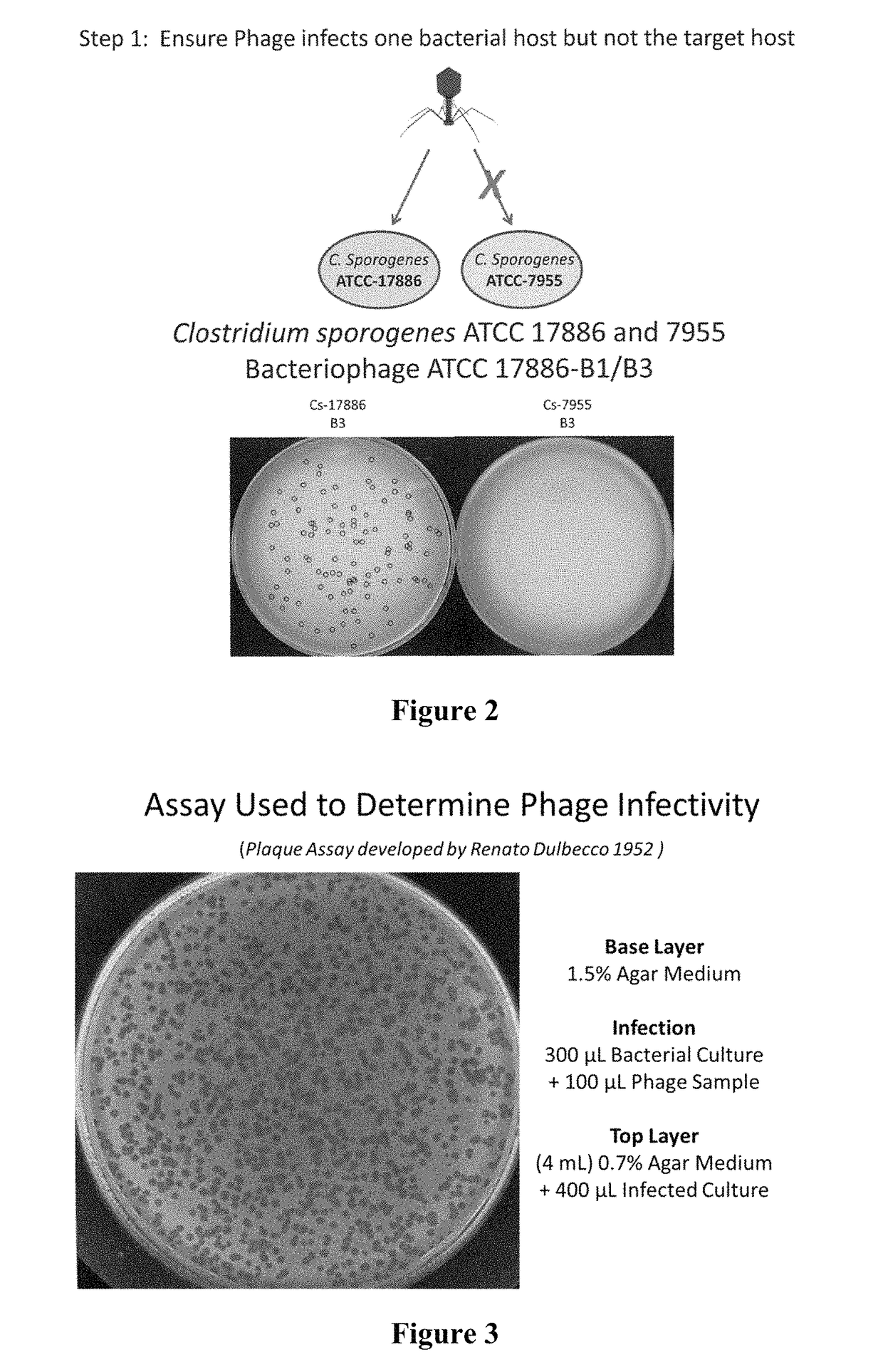 Methods of expanding bacteriophage host-range and bacteriophage produced by the methods