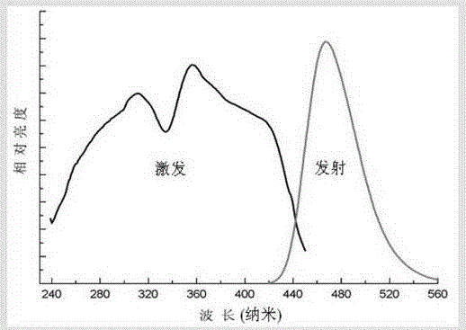 Rare Earth Ion Activated Complex Phase Fluorescent Materials