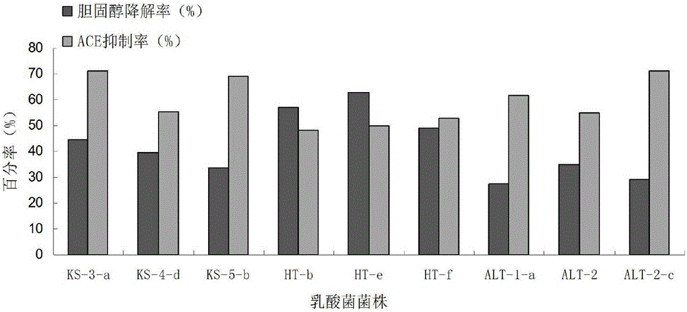 Lactic acid compound bacteria and preparation of lycopene camel milk lozenge with assisted antihypertensive function