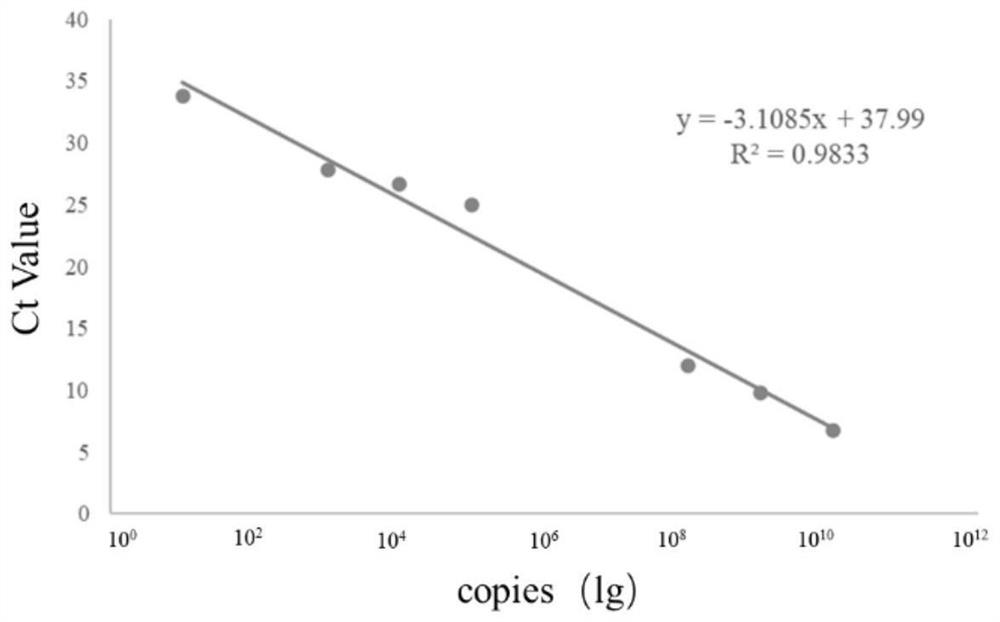 Dual fluorescent quantitative PCR primer and kit for Escherichia coli disease and Lyme disease