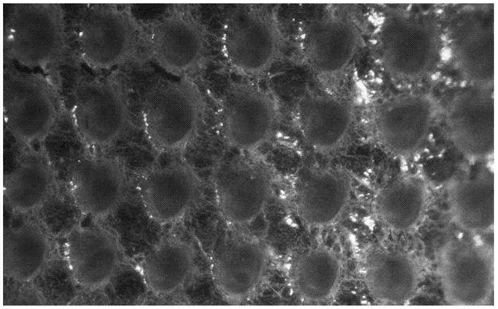 Swelling hollow silk fibroin microneedle drug delivery system and preparation method thereof