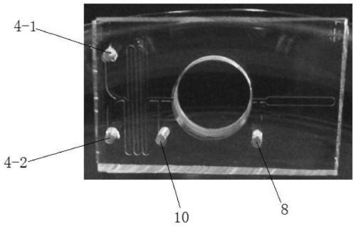 Integrated microfluidic electrochemical sensor chip for rapid BOD detection, and preparation method and BOD detection method thereof