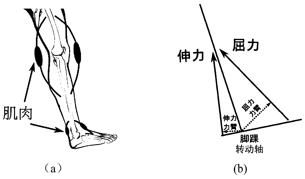 A Motion Simulation Method for Animation Characters in Granular Media Environment