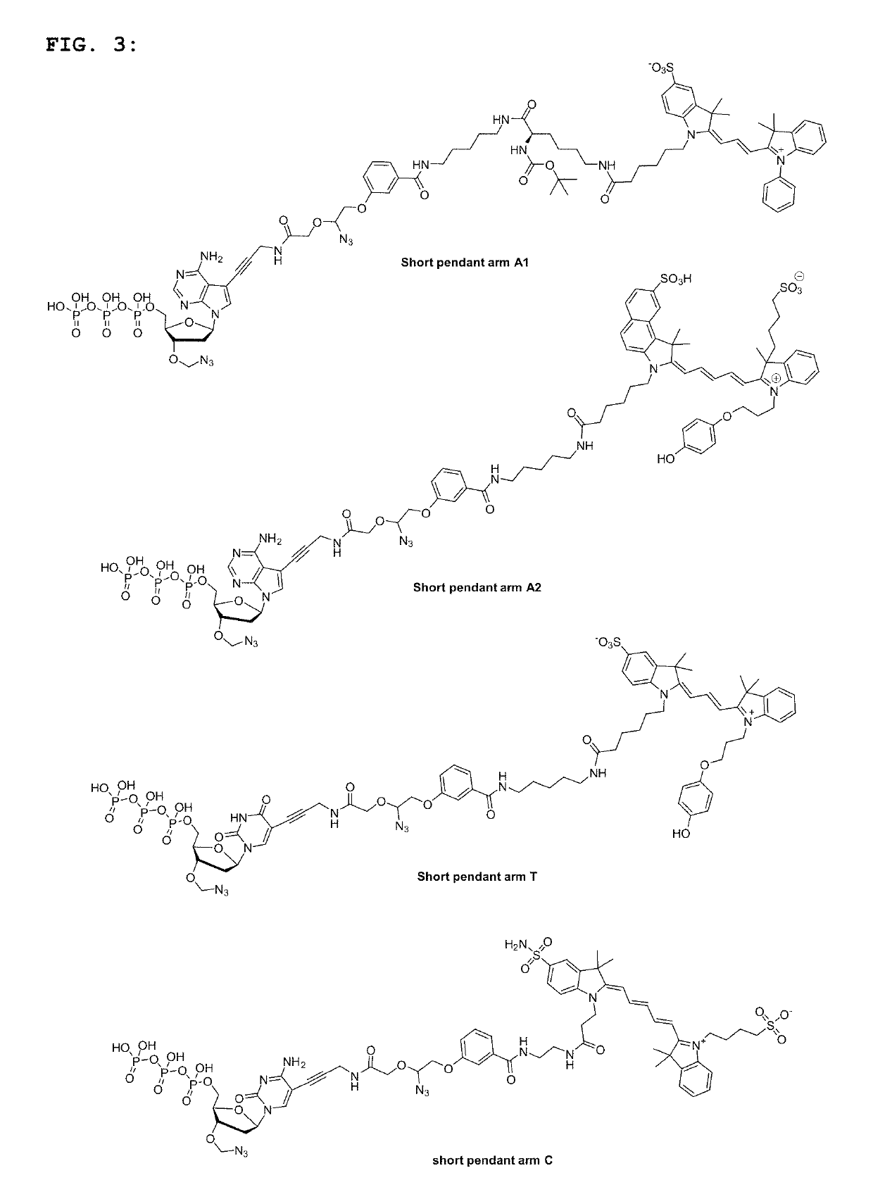 Short pendant arm linkers for nucleotides in sequencing applications