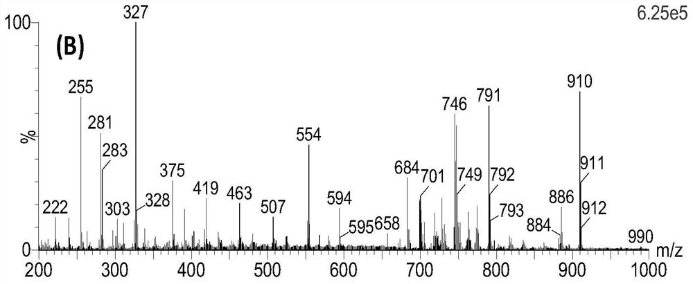 Tuna meat wet type ripening maturity detection method