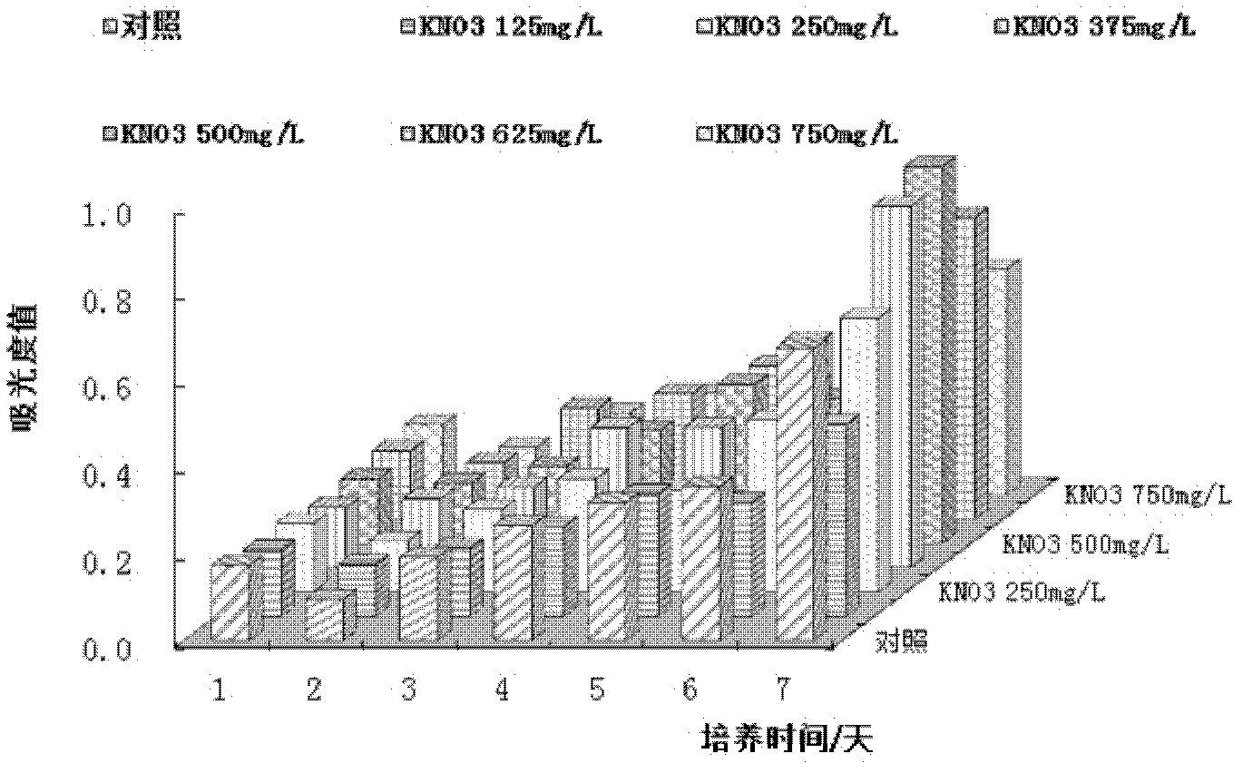 Method for rapidly activating and abundantly producing anabaena azotica ley dry powder