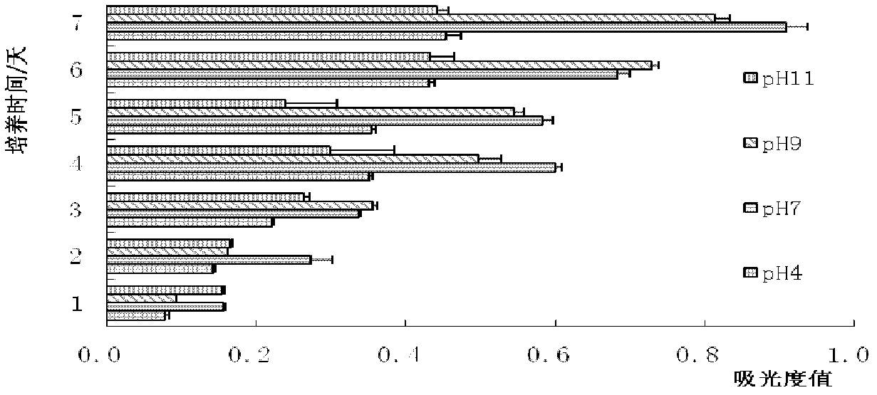 Method for rapidly activating and abundantly producing anabaena azotica ley dry powder