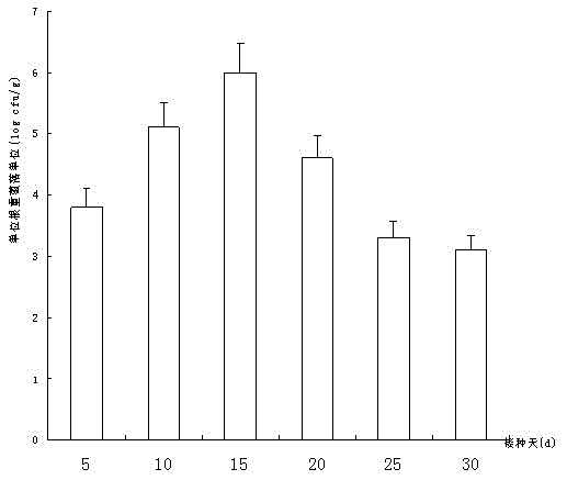 Biological seed-dressing agent