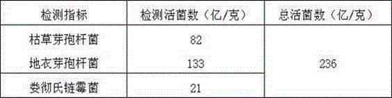 Biological seed-dressing agent