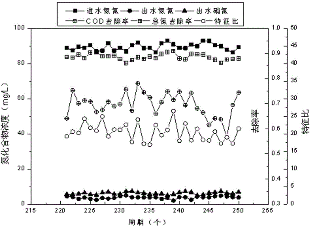 Recovering method of synchronous nitrosation-anaerobic ammonia oxidation and denitrification process