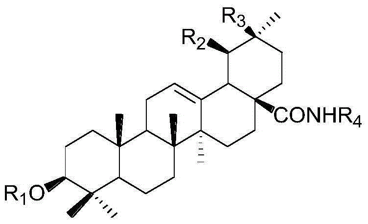 3-monouronic acid o-glycoside oleanane type and ursane type triterpenoid saponin derivative, as well as preparation method and application thereof