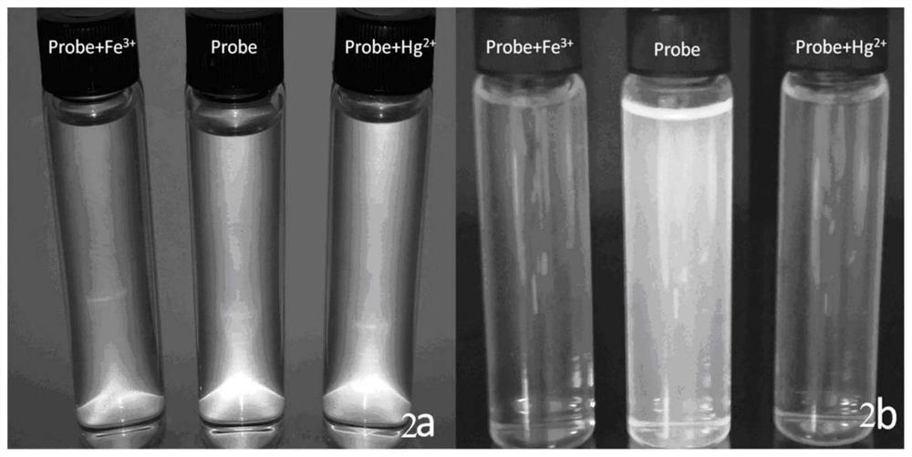 Dehydroabietic acid-based 2,4-diarylbenzimidazole fluorescent probe for ferric ions and mercury ions, and preparation method and application thereof