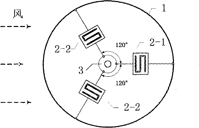 Anemoclinograph wind meter