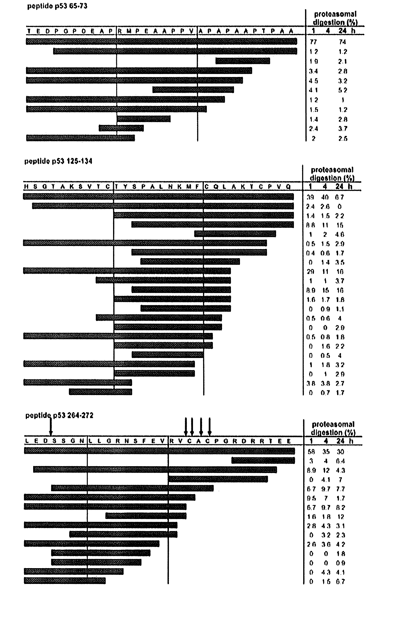 P53 peptide vaccine