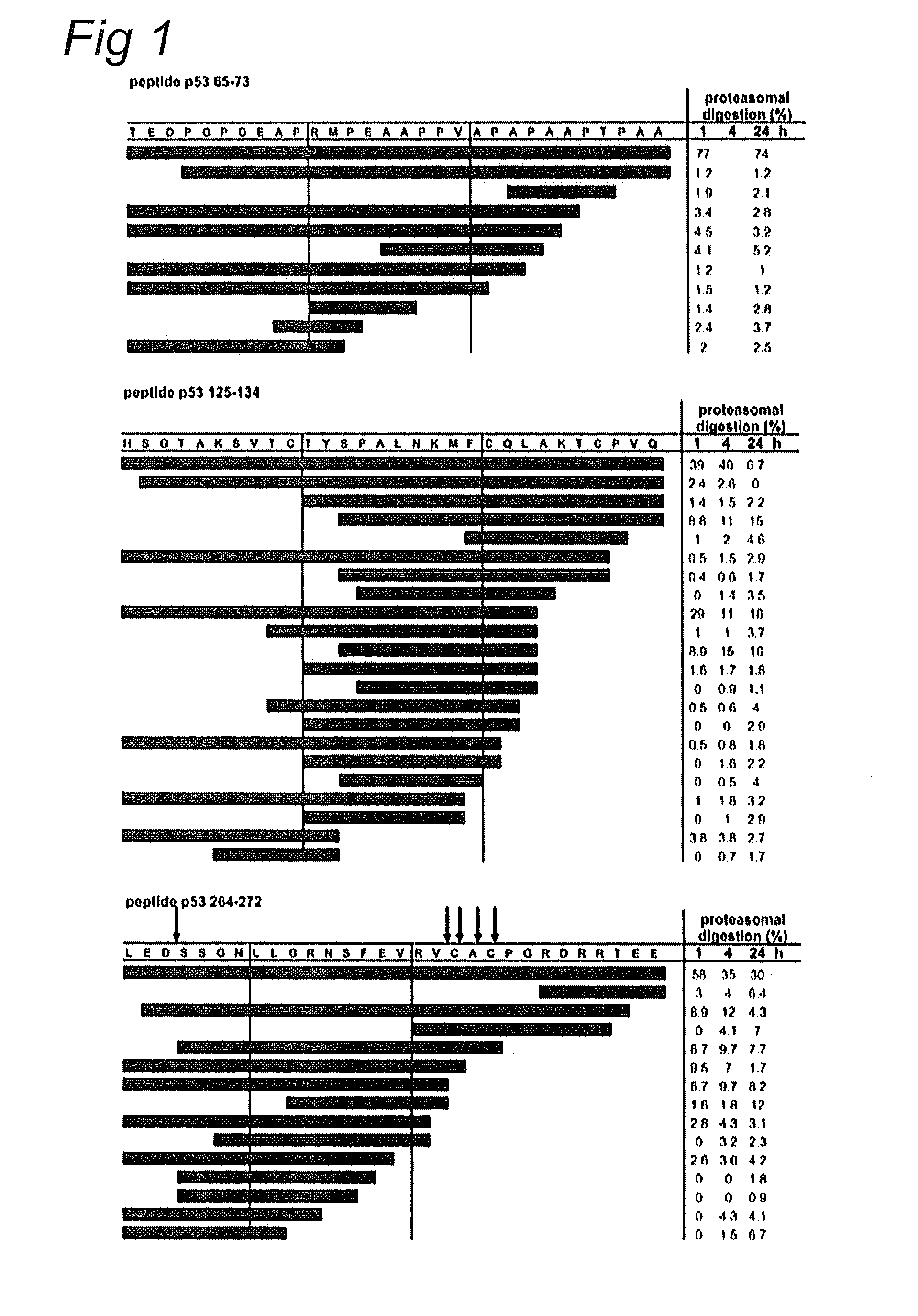 P53 peptide vaccine