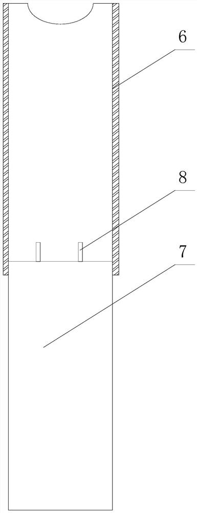 Bird repelling bomb and bird repelling device