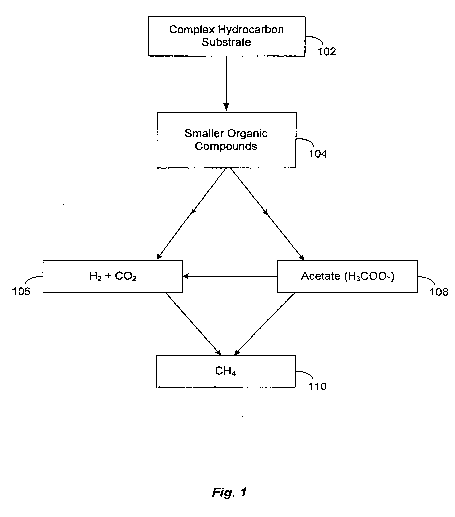 Thermacetogenium phaeum consortium for the production of materials with enhanced hydrogen content