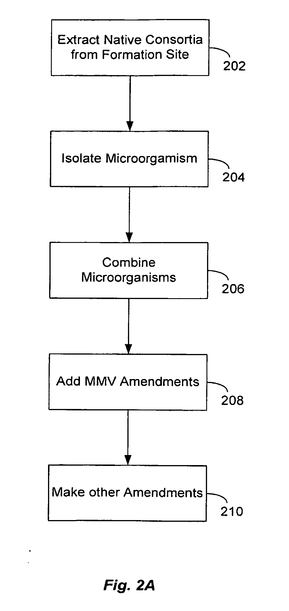 Thermacetogenium phaeum consortium for the production of materials with enhanced hydrogen content