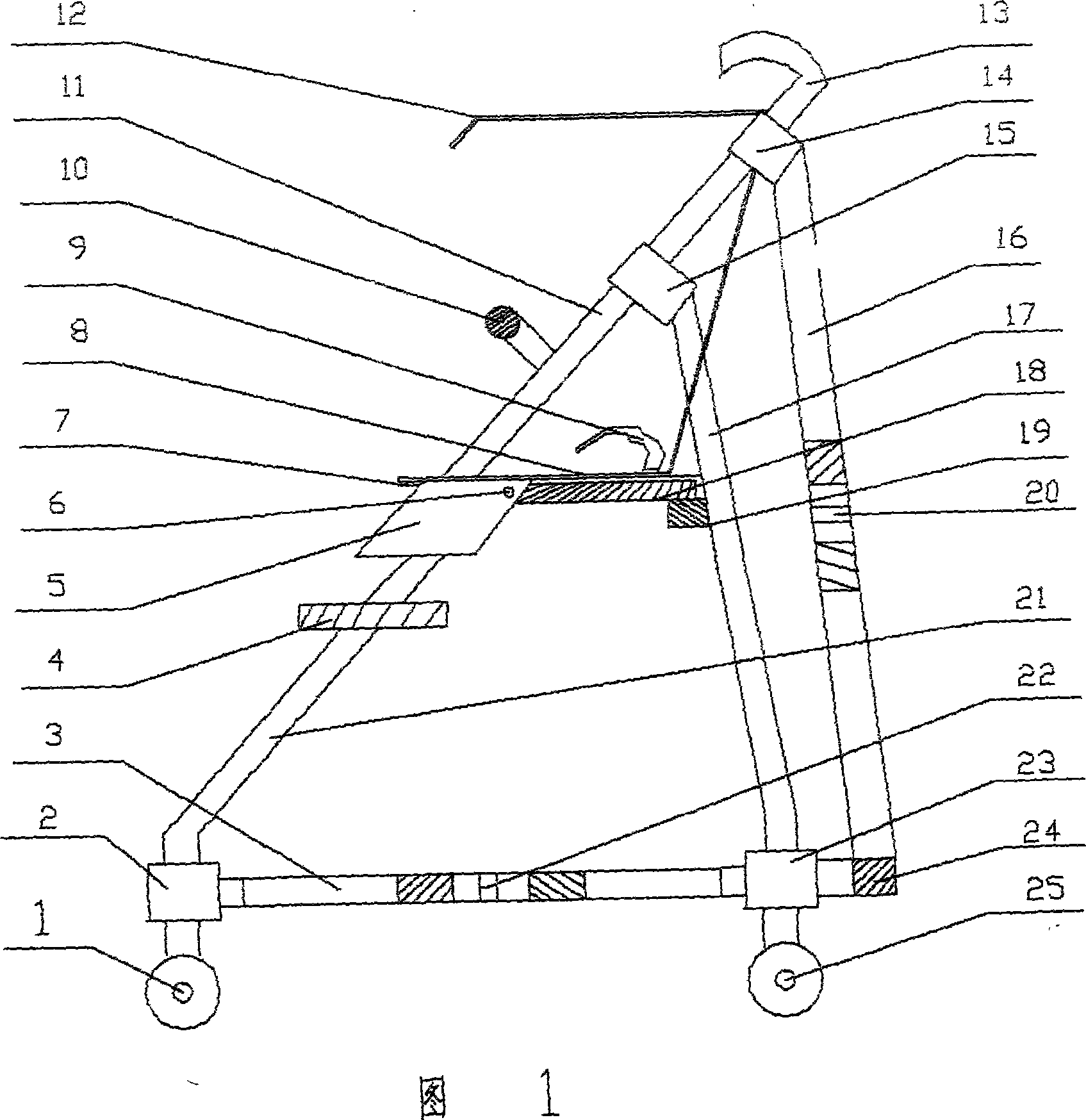 Infantile sitting/standing carriage