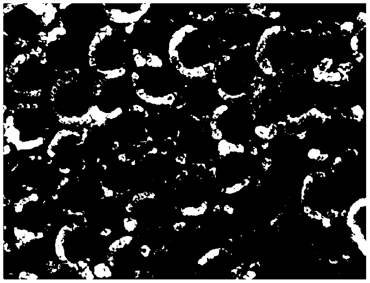 Method for preparing near-infrared responsive functional coating on surface of cylindrical titanium nail and application