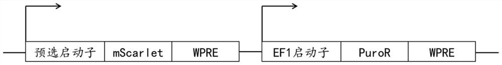 Method for obtaining driving element