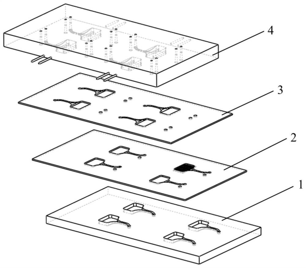 Organ chip, integrated module and system thereof, preparation method and application