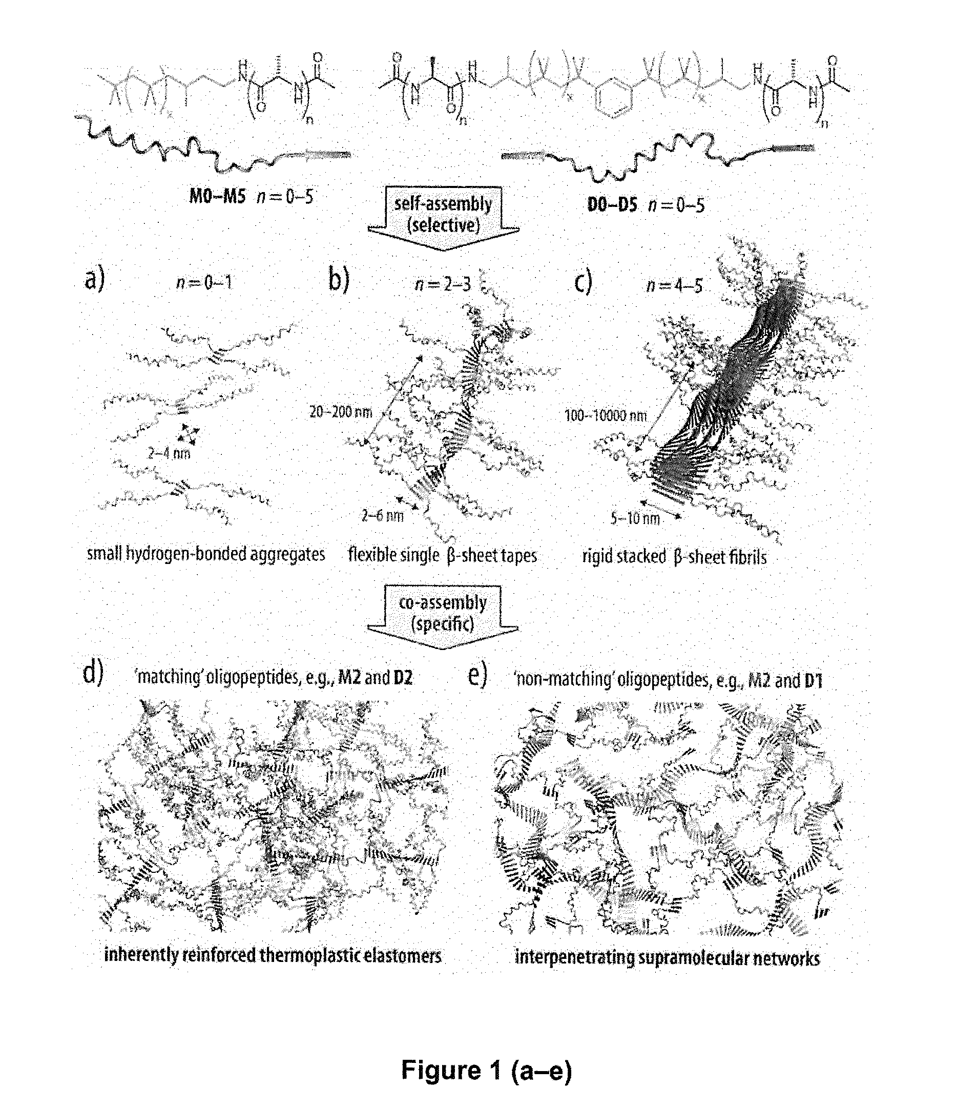 Blends of oligopeptide terminal polyisobutylene or polystyrene