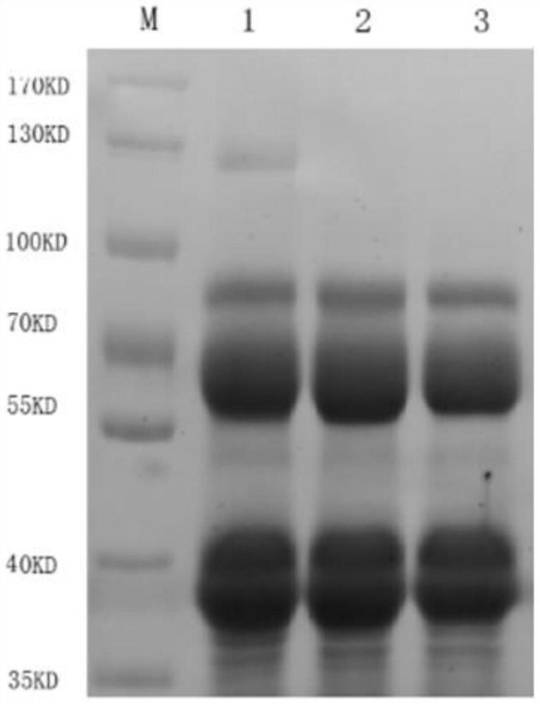 A large-scale extraction method of egg yolk antibody