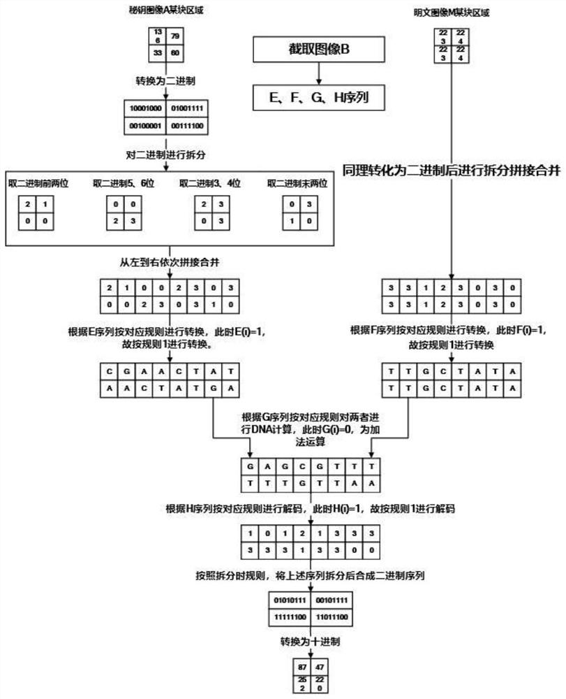 Image encryption method based on Julia set and DNA coding