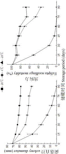 Sclerotium rolfsii solid fermentation culture medium and application thereof