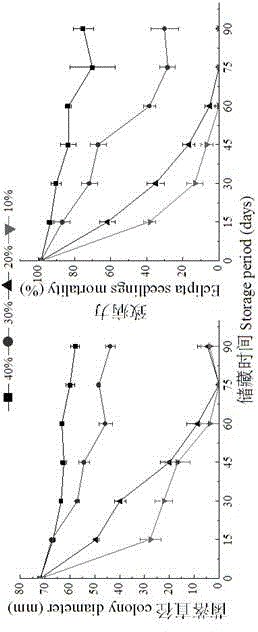 Sclerotium rolfsii solid fermentation culture medium and application thereof