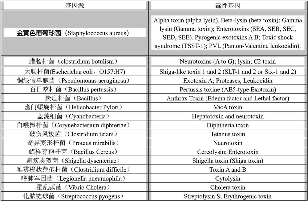 Novel staphylococcus aureus phage as well as composition and application thereof