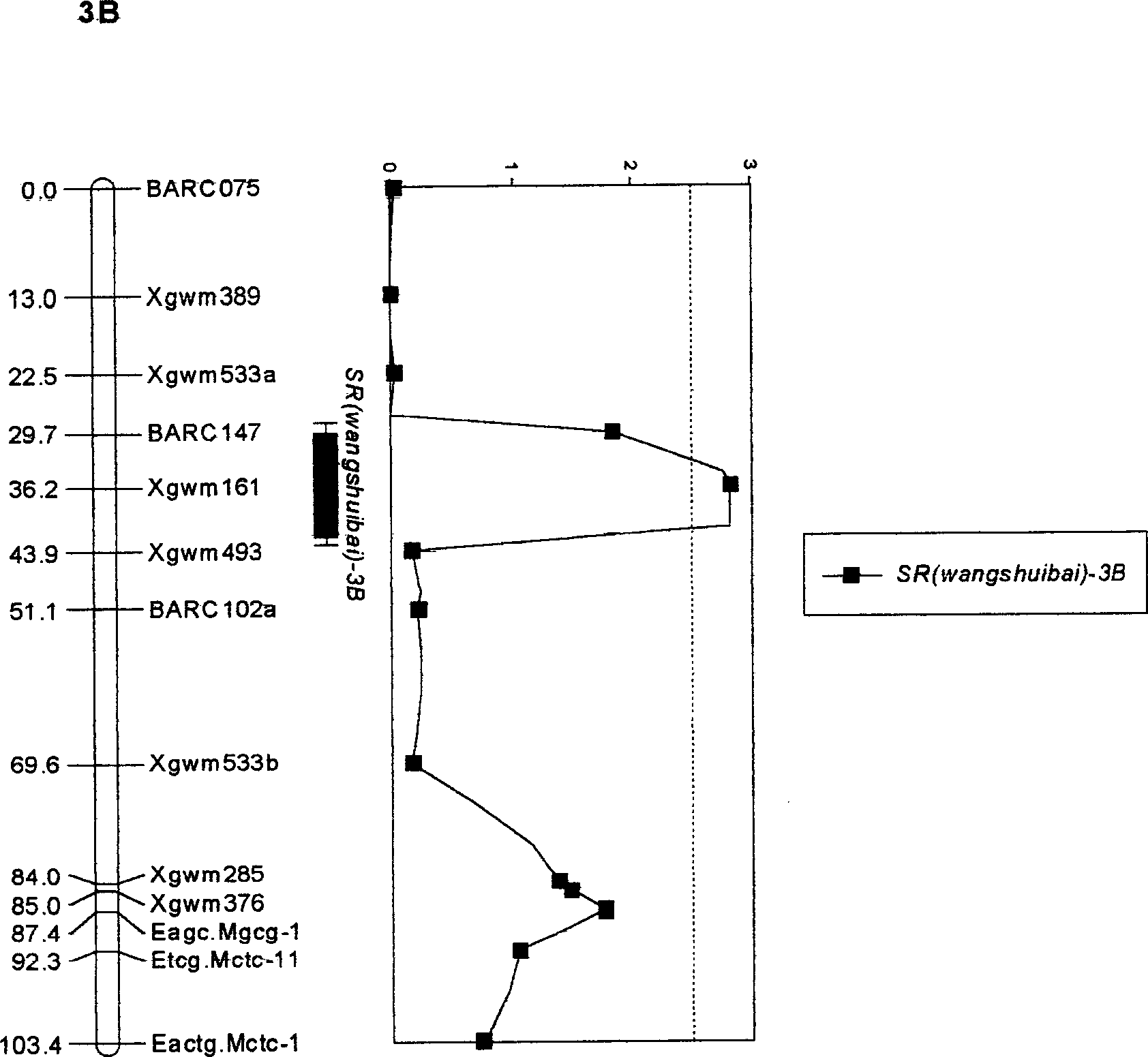 Molecular label closely linked with wheat gibberellin resistance main effect QTL and its application