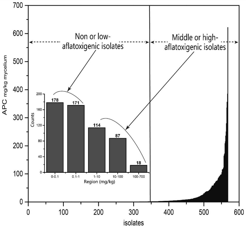 Aflatoxin pollution risk early warning molecule and application thereof