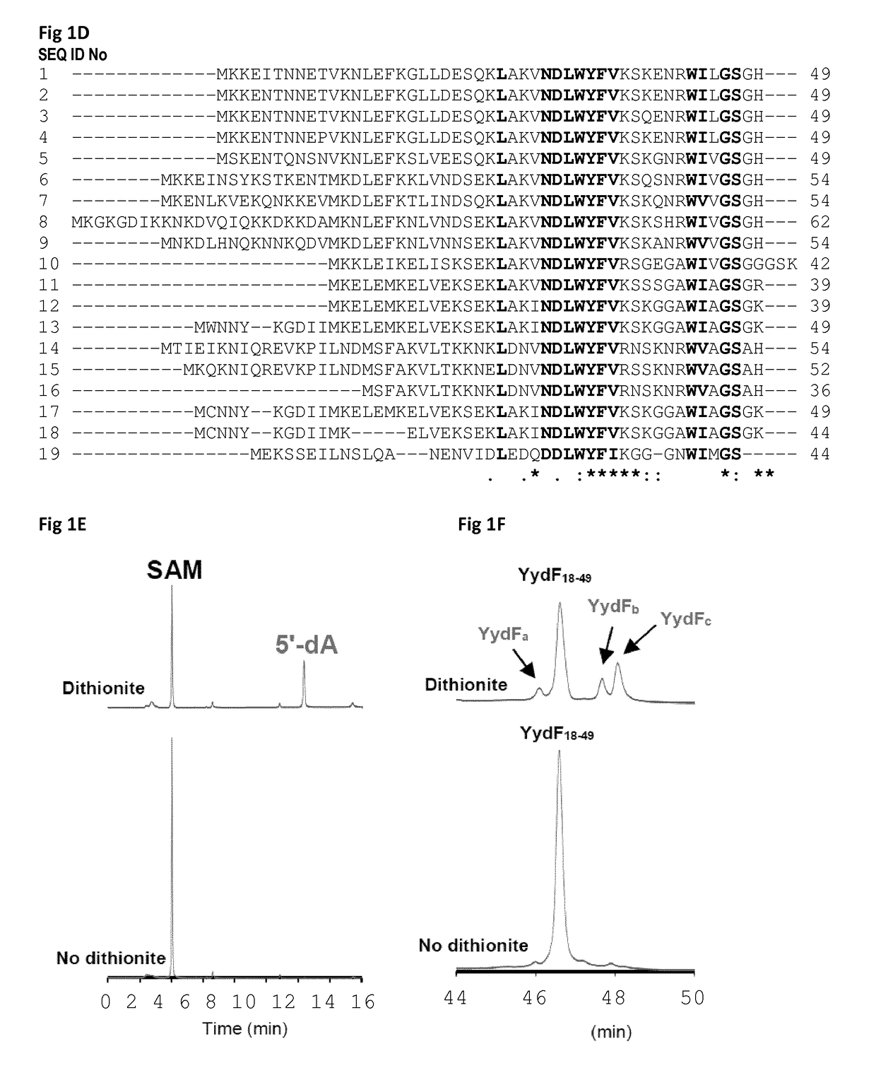 New peptides having antimicrobial activity and new enzyme capable of converting l-configured residue in d-configured amino acid in a peptide