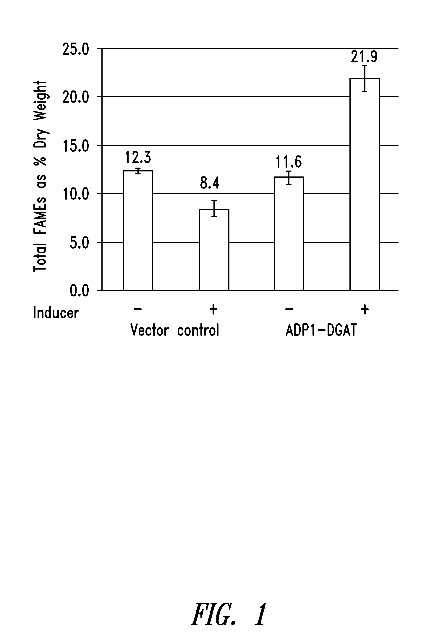 Modified photosynthetic microorganisms for producing triglycerides