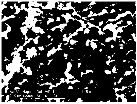 Preparation method of Co-base porous ceramic with adjustable and controllable pore structure