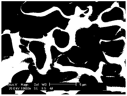 Preparation method of Co-base porous ceramic with adjustable and controllable pore structure