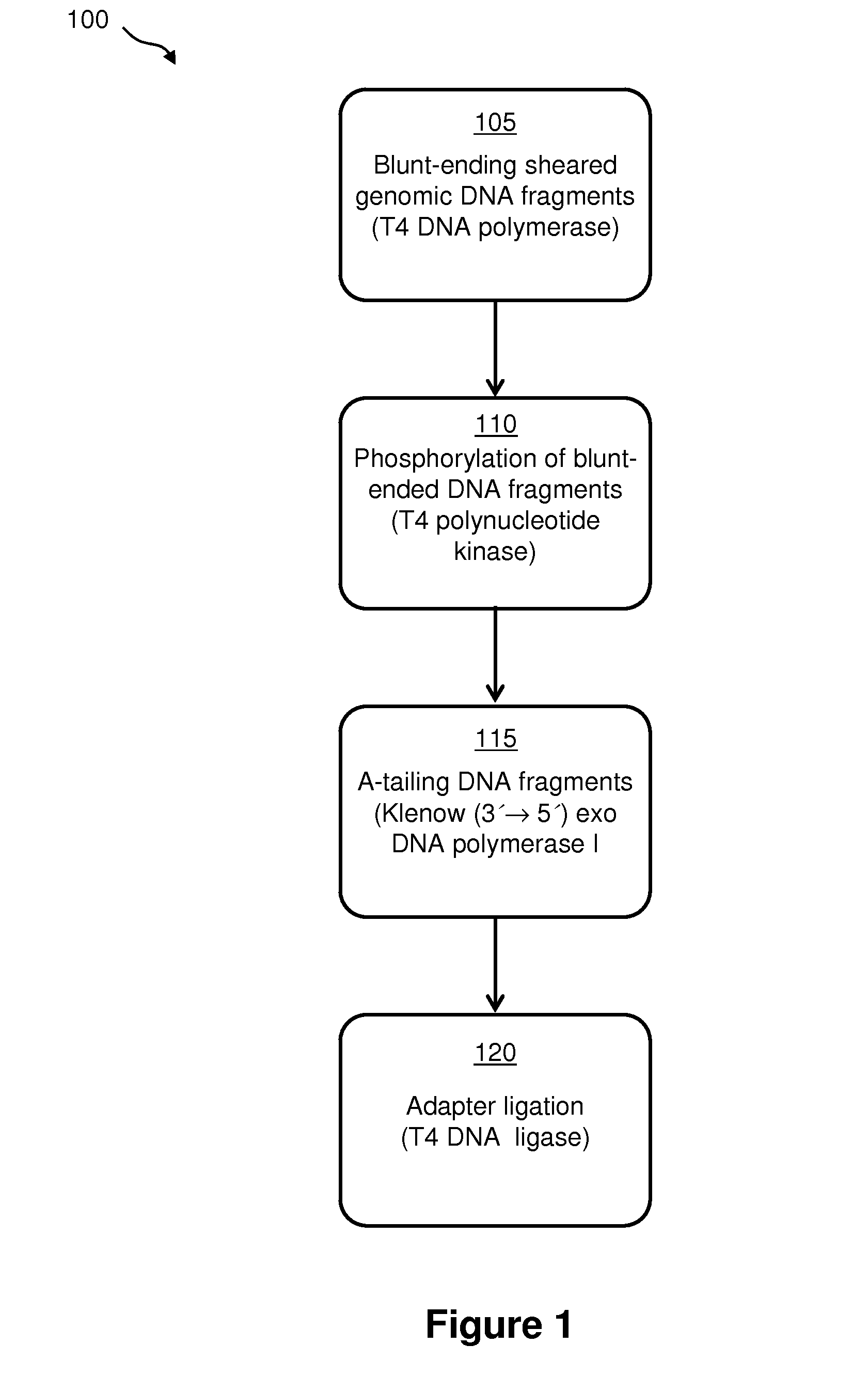 Method of Preparing a Nucleic Acid Library