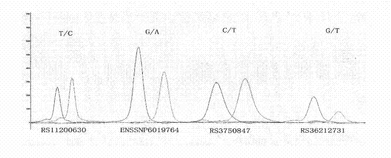 Reagent kit for detecting agedness yellow spot degenerative disease