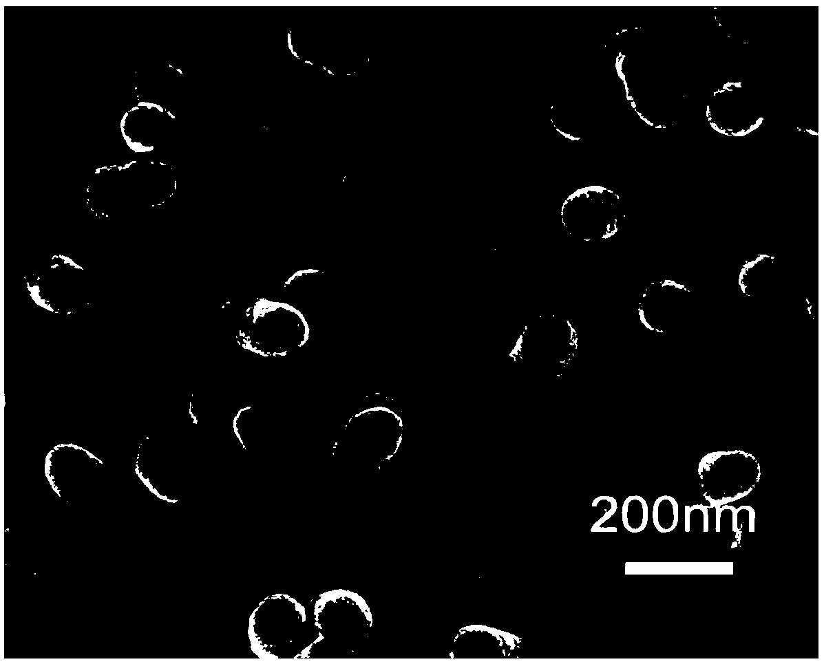 Antibacterial polypyrrole/sulfosalicylic acid nanorod and preparation method and application thereof