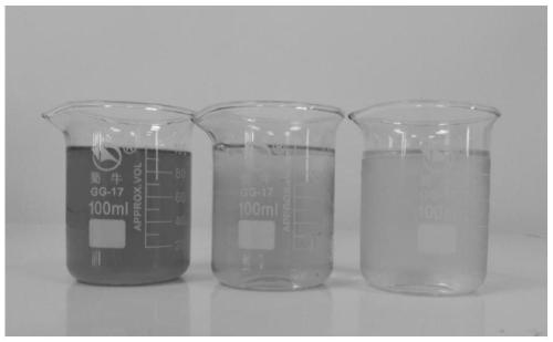 Saccharomyces cerevisiae strain and manufacturing method of frothy apple ferment drink