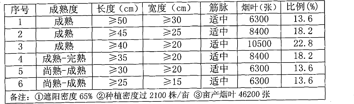 Method for cultivating cigar wrapper tobacco leaves