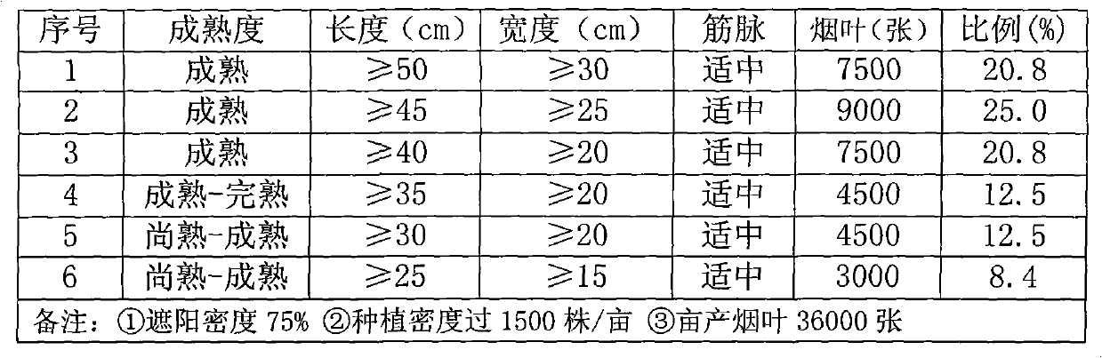 Method for cultivating cigar wrapper tobacco leaves