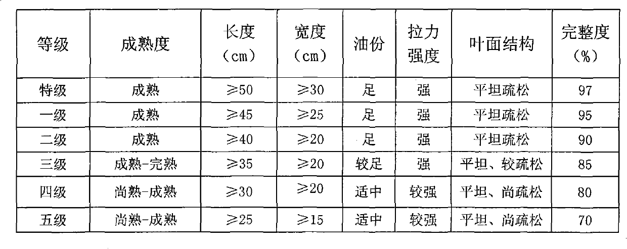 Method for cultivating cigar wrapper tobacco leaves