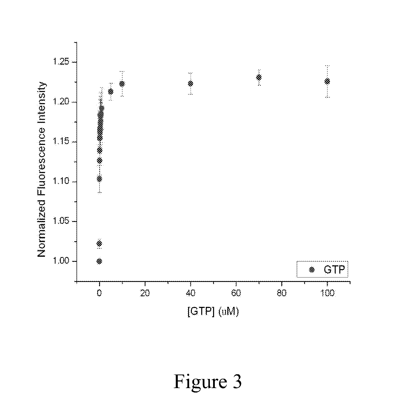 Signal amplification methods for the imaging of protein synthesis and neurotransmitter transport