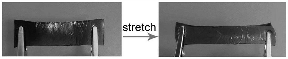 Anti-freezing self-repairing conductive hydrogel and preparation method thereof and flexible sensor