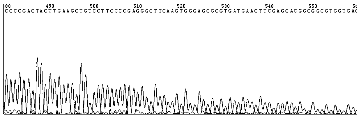 DNA sequencing reaction reagent and preparation method thereof