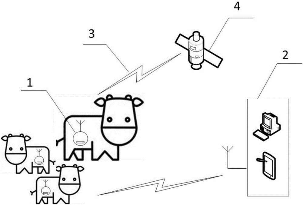 Free-range cattle physiological parameter acquisition system