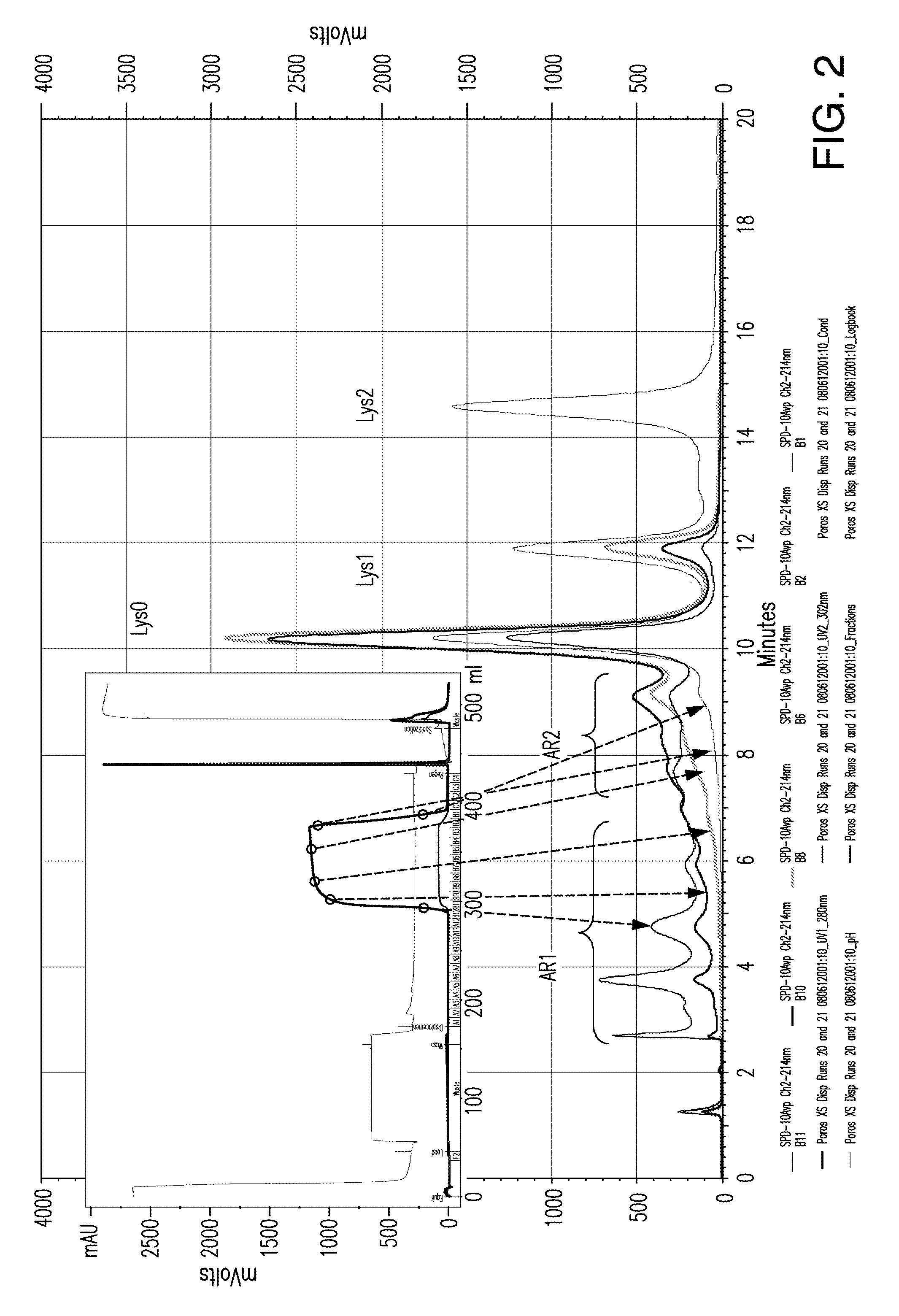 Protein purification using displacement chromatography